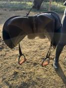 Selle Philippe Fontaine 