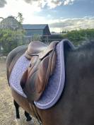 Selle devoucoux chiberta 17"