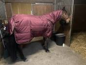 Couverture &eacute;curie Premier Equine 350g avec couvre cou