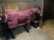 Couverture &eacute;curie Premier Equine 350g avec couvre cou