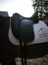 Selle de dressage Wintec Pro Hart am&eacute;lior&eacute;e 2024