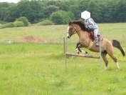 divers mat&eacute;riel d'&eacute;quitation