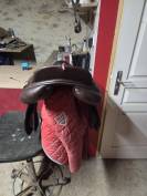 Selle equipe &Eacute;volution 