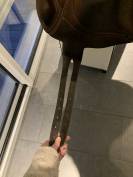 Devoucoux chiberta lab 