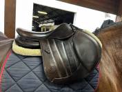 Selle forestier S&eacute;oul 2023