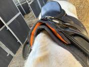 Selle Equipro + tapis Kentucky dressage
