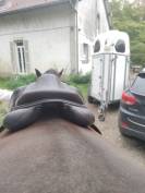 Selle Devouvoux Biarritz 17,5 