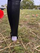 Chaps tredstep neuve jamais port&eacute; 