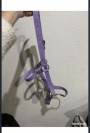Licol violet taille cob  Petit Cheval poney &eacute;quitation