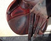 Selle CWD 2GS Miss 17'