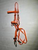 Filet licol bride bridon endurance randonn&eacute;e orange 