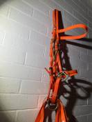 Filet licol bride bridon endurance randonn&eacute;e orange 