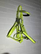 Filet licol bride bridon endurance randonn&eacute;e jaune vert
