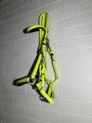 Filet licol bride bridon endurance randonn&eacute;e jaune vert