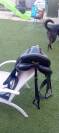 Selle de dressage en cuir Eric Thomas