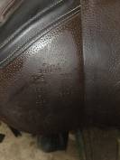 Selle forestier seoul 2023