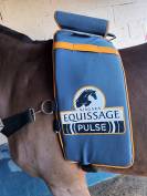 MASSEUR EQUISSAGE