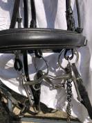 Beide de dressage aber 2 more de 14,5