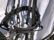 Beide de dressage aber 2 more de 14,5