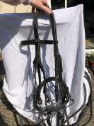 Beide de dressage aber 2 more de 14,5