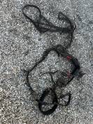 Harnais lot harnachement surfait  Pour Sulky Voiture 