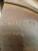 Selle gbs mixte 2018