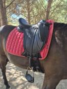 Selle DEVOUCOUX Makila Lab 2024