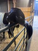 Sella da dressage Stubben  17.5" - 2017