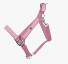 Licol Lyvia Rose - QHP - Motifs c&oelig;urs, ajustable