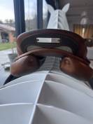 Selle Bruno Delgrange virtuose 2021 