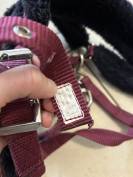 Ensemble licol + longe en mouton Fouganza 