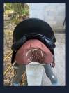 Selle de dressage Aulion