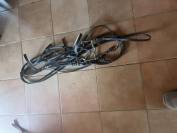 Bride dressage neuve