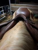 Selle Fouganza Romeo 17,5 