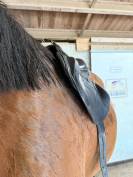 Selle devoucoux chiberta O