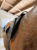 Selle devoucoux chiberta O