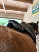 Selle devoucoux chiberta O
