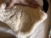 Prot&egrave;ge boulets Veredus