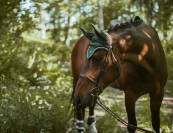 Bonnet anti-mouches FOREST GREEN - Equestrian Stockholm