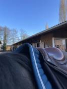 Selle Forestier modele S&eacute;oul 16,5