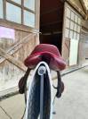 Selle Maurel 17,5