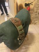 Selle forestier Ilium - Mono quartier - 2017