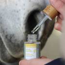 S&eacute;rum S&eacute;r&eacute;nit&eacute; Cheval - Nellumbo