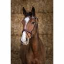 Bridon Norton Pro Miss marron