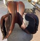 Selle obstacle Renaissance 17 - 2023