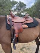 Selle reining crates