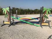 Lot d&rsquo;obstacles Safari 