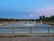 Lot d&rsquo;obstacles Safari 