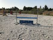 Lot d&rsquo;obstacles Safari 