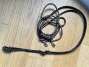 R&ecirc;nes allemandes 